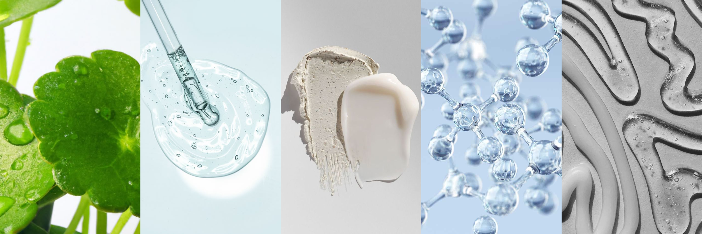 K-Beauty slovnik